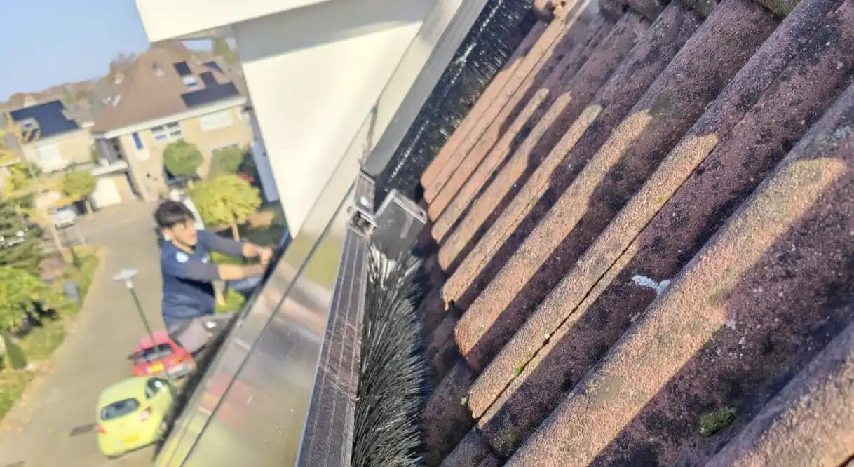 Vogelwering voor dakpannen