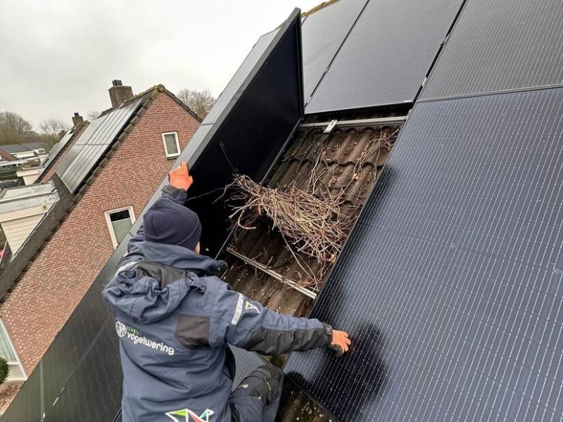 Nesten onder de panelen verwijderd