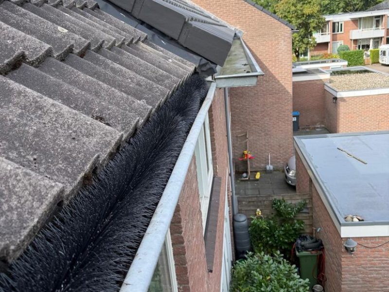 Dakgootborstels geplaatst