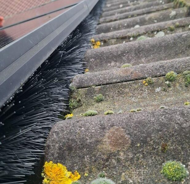 Montagedetail borstelwering